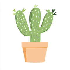 cactus in a pot