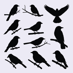 Collection of birds perched on branches a striking black silhouette