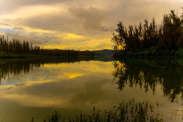 Fototapeta premium Ooty Lake, seen from the serene Pine Forest, reflects misty hills, lush greenery, and offers boating amid the Nilgiri charm