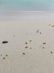 Sable mouillé et lagon à Moorea en Polynésie