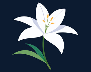 Elegant White Lily on Dark Background | Beautiful White Lily Contrast Dark Theme