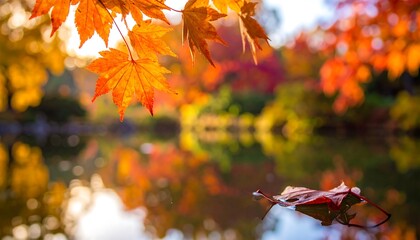 Autumn leaves reflecting in a pond. Vibrant fall foliage, with orange and red maple leaves, hangs over a still pond. Sunlight filters through the trees, casting a warm glow