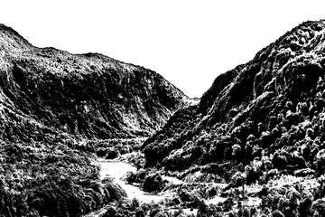 Patagonia forest hill isolated landscape