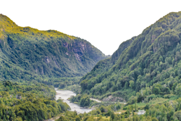Patagonia forest hill isolated landscape