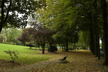 La chute des feuilles au parc de la Dodaine à Nivelles (Brabant Wallon)