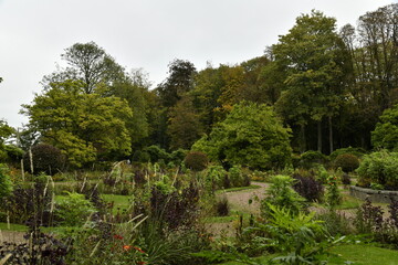 Les variétés de plantes du jardin en automne au parc de la Dodaine à Nivelles (Brabant Wallon)