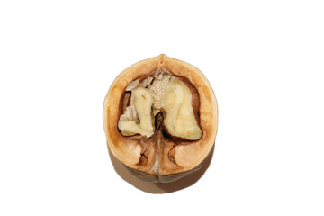 Half Walnut on white isolated background