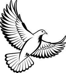 Fototapeta premium A detailed black and white line drawing of a dove in flight with wings outstretched against a white background