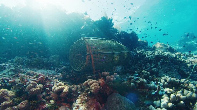 Underwater view of the traditional Bubu fishing trap set on the fishy place near the healthy and vivid coral reef near the Alor Island in Indonesia
