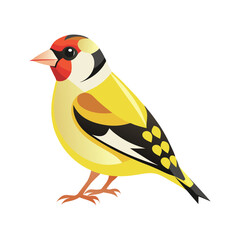 American Goldfinch bird vector illustration