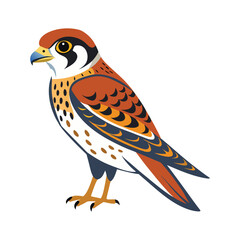 American Kestrel bird vector illustration