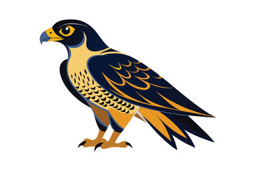 Peregrine falcon bird vector illustration