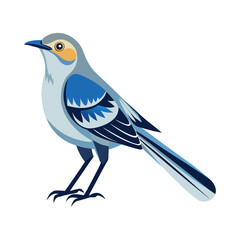 Northern mockingbird vector illustration