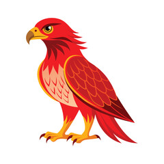 Red tailed hawk bird vector illustration