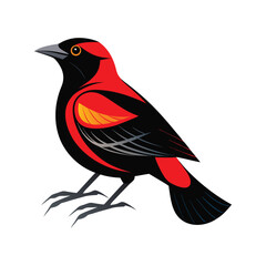 Red winged blackbird vector illustration