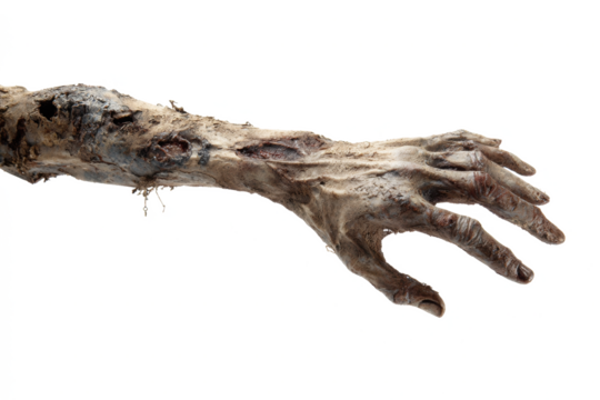 Creepy zombie arm and hand reaching out decaying flesh and bone isolated on white background for Halloween horror concept