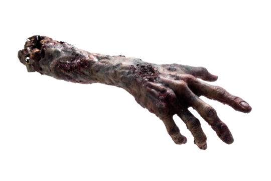 Severed zombie arm grotesque and decaying isolated on white background for horror or Halloween themes