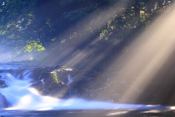 光さす夏の渓流