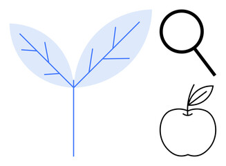 Leaf structure, magnifying glass, and apple illustration. Ideal for education, science, agriculture, research, health, environment sustainability and simple flat metaphor