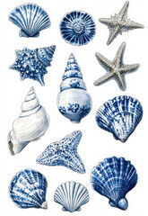 Collection of seashells and starfish in deep blue hues arranged artistically, showcasing the beauty and diversity of ocean life