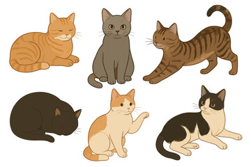 Fototapeta premium Cat illustrations icon set. Colorful cartoon symbols of different domestic cats