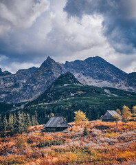 Hala Gasiennicowa Valley in Polish Tatras - Tatra Mountains