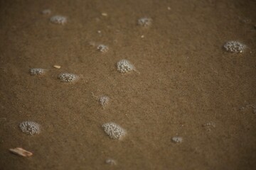 Sand and Bubbles