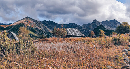 Hala Gasiennicowa Valley in Polish Tatras - Tatra Mountains