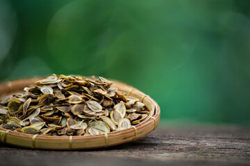 Anethum graveolens or dill dried fruits on natural background.