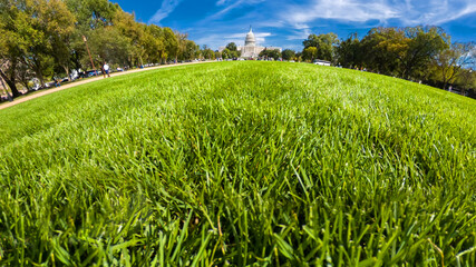 U.S. Capitol seen from lush green grass under a vibrant sky in Washington D.C.