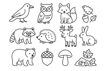 Forest animals and nature elements: owl, fox, acorn, and more in simple line art