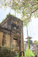 Building with vines growing on it