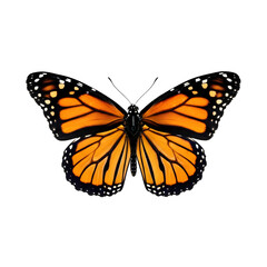 Fototapeta premium Realistic Butterfly PNG – Colorful Insect Isolated on White Background