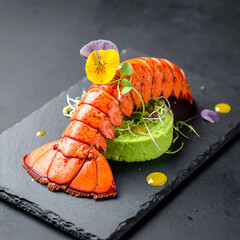 Lobster Tail Fine Dining Plating with Greens and Berry Sauce for Pinterest Food Photography