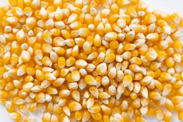 Yellow popcorn kernels close up with a white background
