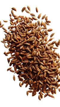 A pile of whole dried cumin seeds for culinary use.