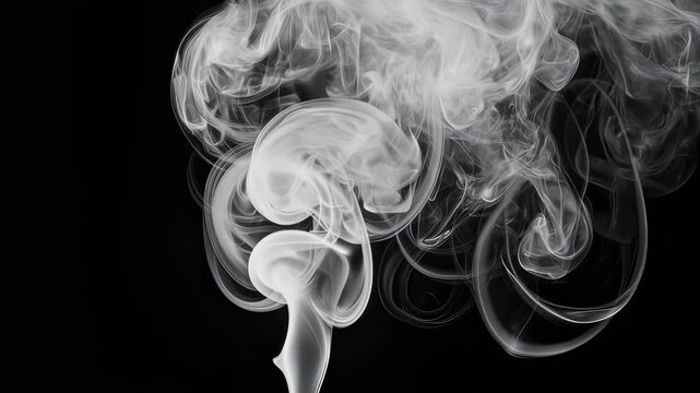 Elegant, swirling plumes of ethereal, white smoke rise against a stark, black backdrop