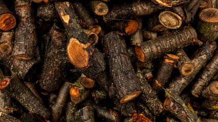 Pile of chopped firewood ready for winter.
