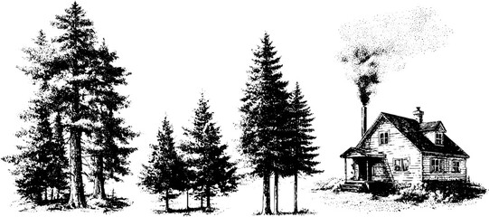 Fototapeta premium Rustic house with chimney smoke and forest scene under starry night for decoration or design