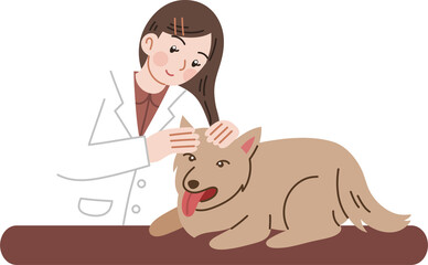 cute veterinarian examining pet