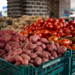 Potatoes and tomatoes at don valley brick works farmer-s