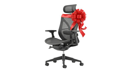 Ergonomic Chair with Red Bow and Modern Design