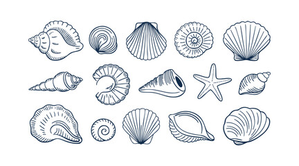 Hand-Drawn Sea Shells and Starfish - Beach and Ocean Themed Illustrations
