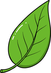Green leaf illustration with detailed veins on a white background in hand-drawn style  