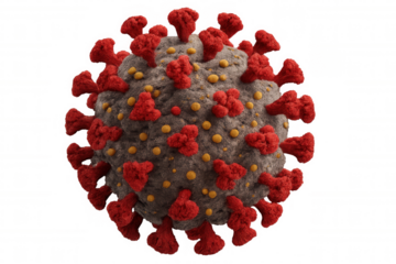 Coronavirus covid-19 organism showing felt texture and red spike proteins on transparent background
