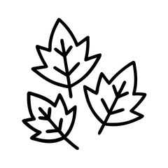 Vector art of three maple leaves in a simple line art style, perfect for fall, autumn, or thanksgiving designs and decorations