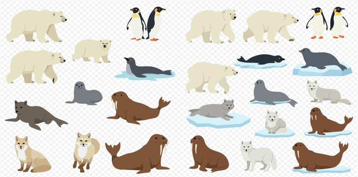 A collection of various Arctic and Antarctic animals including polar bears, penguins, seals, walruses, and arctic foxes, depicted in a flat design style.
