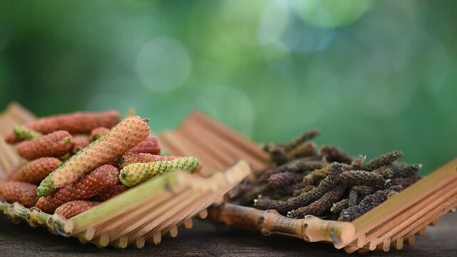 Fresh and dried piper longum fruits on natural background.