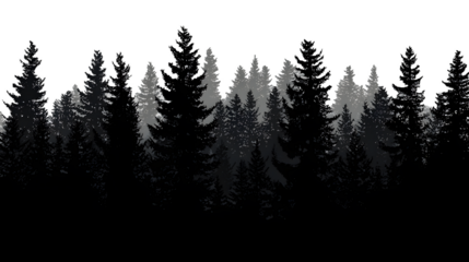 Serene evergreen forest silhouette with layered depth creating a peaceful woodland atmosphere for natural themes