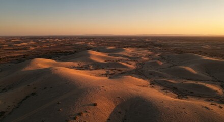 High-angle view of a vast desert landscape at sunset.  Gentle sand dunes and sparse vegetation.  Blurred details in the distance